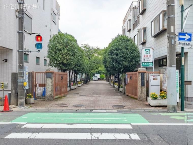 小学校 草加市立草加小学校 350m