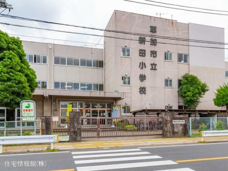 小学校 草加市立新田小学校 900m