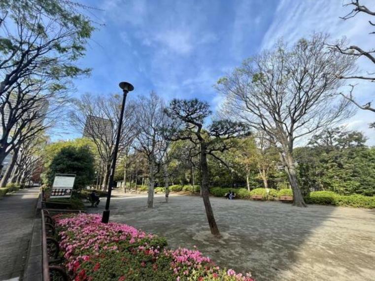 公園 殿ヶ谷戸児童遊園まで約300m