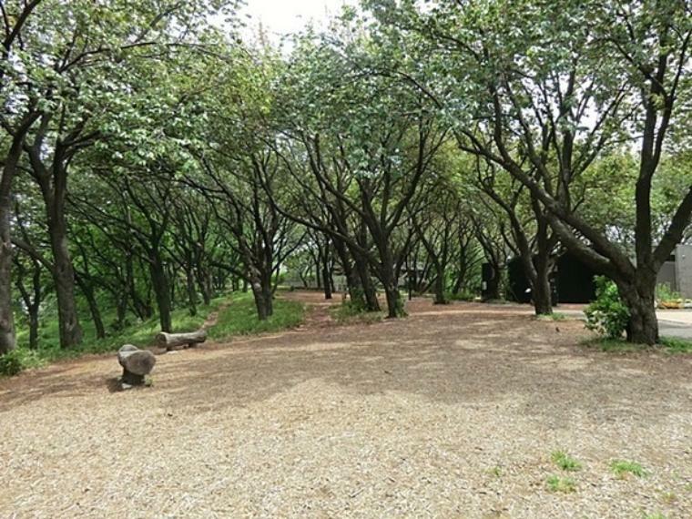 公園 菊名桜山公園 「菊名駅」から歩いて10分ほど、綺麗なトイレと休憩スペース完備でおでかけしやすいスポット。