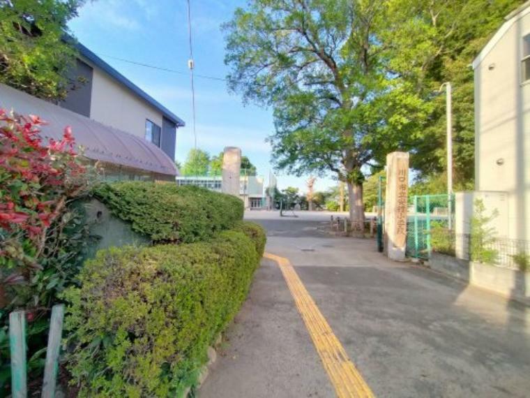 小学校 【小学校】安行小学校まで540m