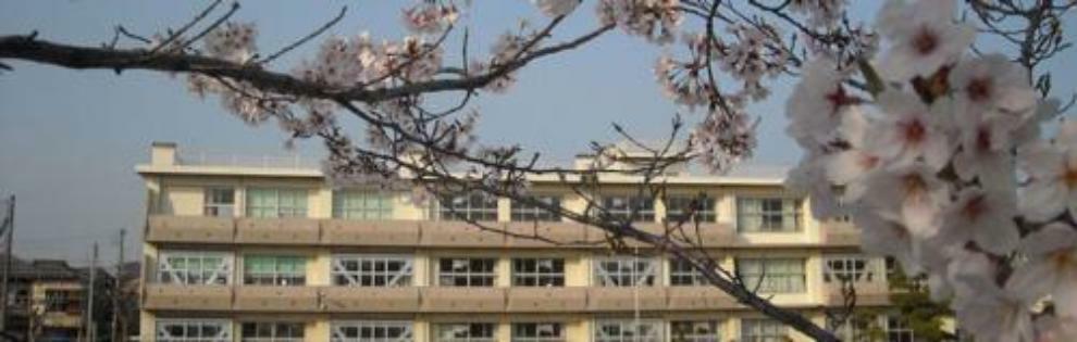 小学校 千葉市立稲毛小学校