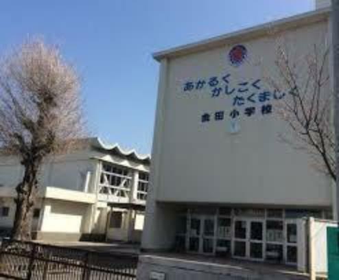 小学校 木更津市立金田小学校