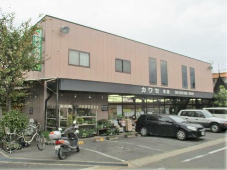 スーパー 【スーパー】新鮮食品館カワセ本店まで130m