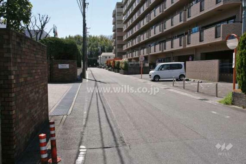 現況写真 敷地東側の前面道路（北側から）