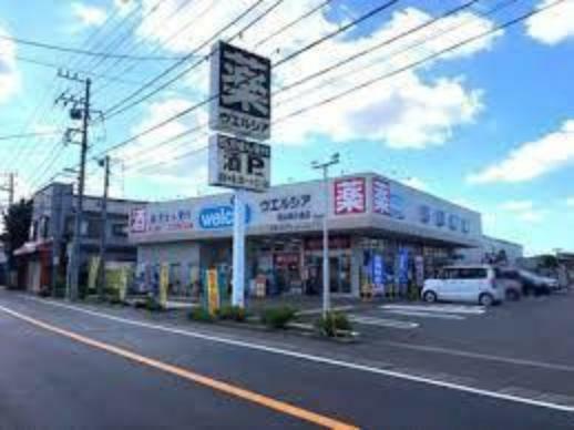 ドラッグストア ウエルシア流山向小金店