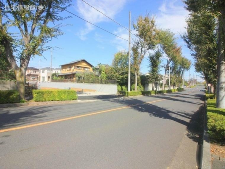 現況写真 前面道路含む現地