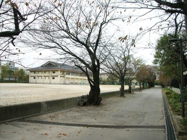 中学校 市川第一中学校