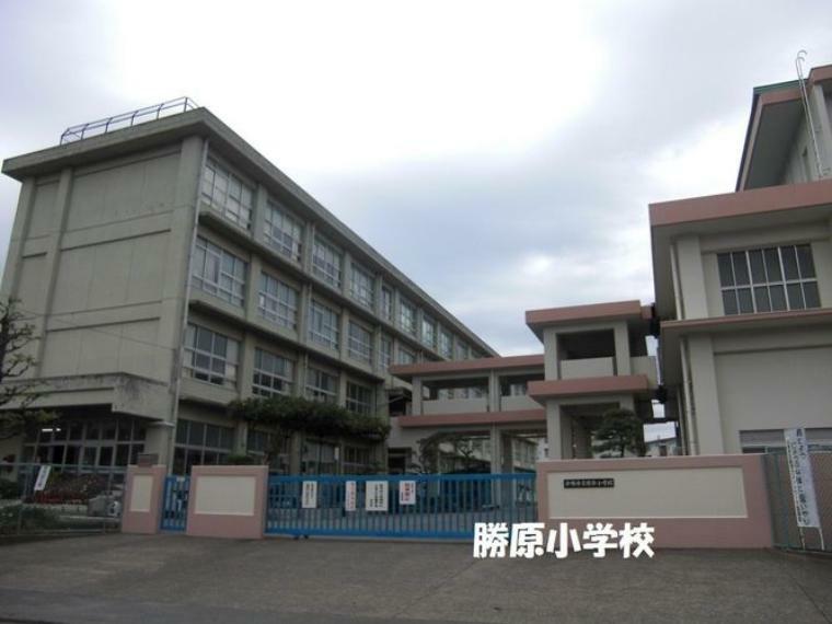 小学校 平塚市立勝原小学校 徒歩13分。