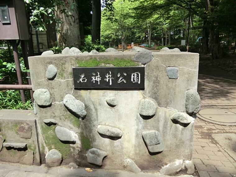公園 石神井公園