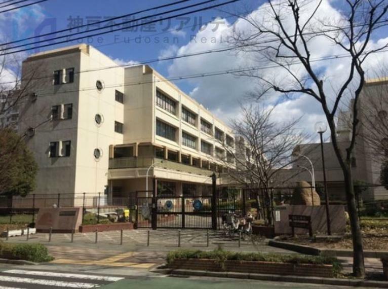 小学校 神戸市立義務教育学校港島学園 徒歩4分。