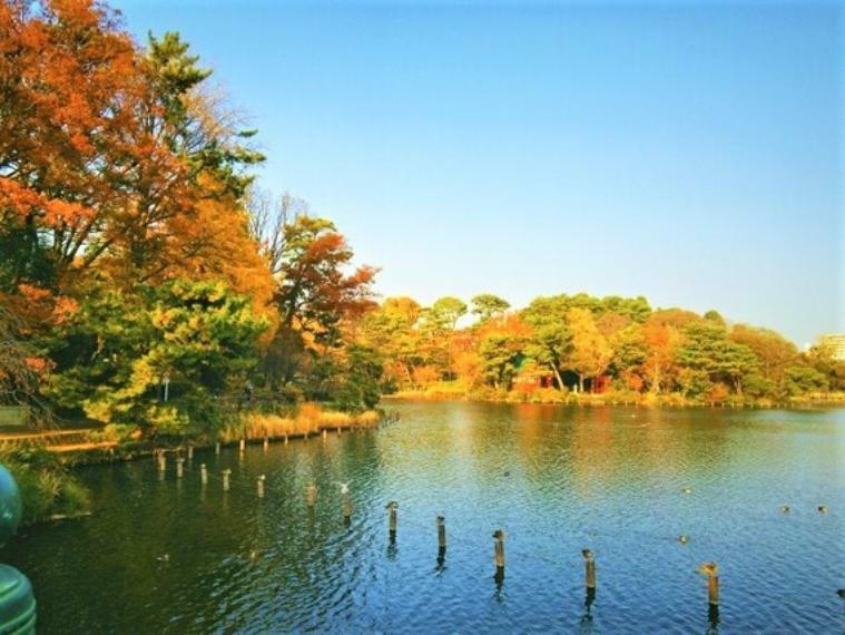 公園 歌川広重の名所江戸百景『千束の池袈裟懸松』にも描かれた水辺の景観の面影を今も残す「洗足池公園」。周辺住民の憩いの場になっており、池月橋、水生植物園のほか、勝海舟記念館も隣接しています。