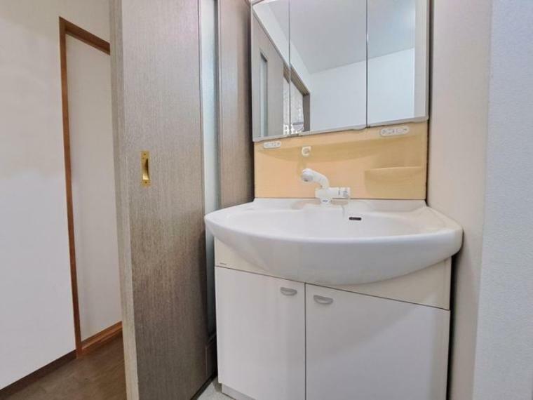 ランドリースペース 大きな鏡付きの洗面台はシンクも広々としています。