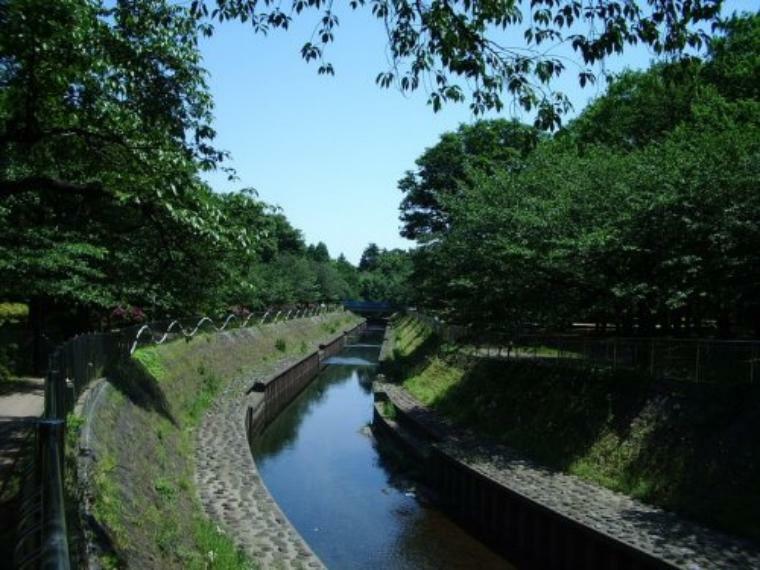 【公園】善福寺川緑地まで338m（約338m）
