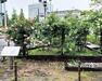 公園 【公園】SHIBUYA バラ花壇まで279m