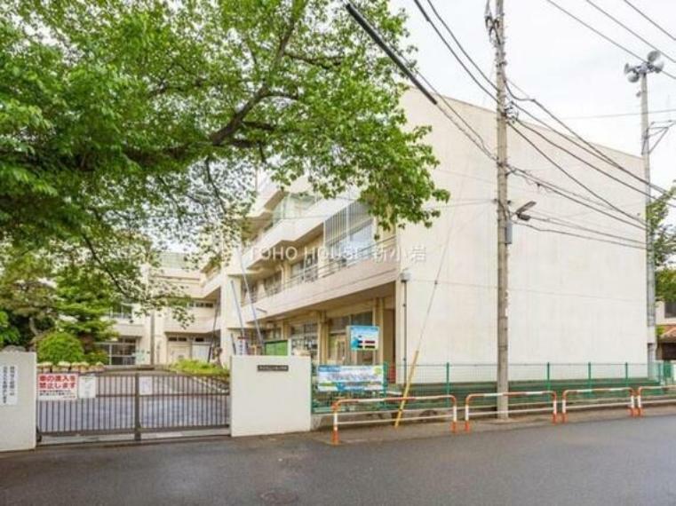 小学校 市川市立大柏小学校:250m