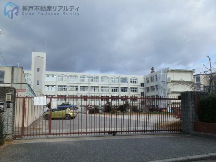 小学校 神戸市立つつじが丘小学校 徒歩6分。
