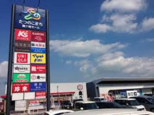 ショッピングセンター たつのこまち龍ヶ崎モールまで約2820m（徒歩36分）
