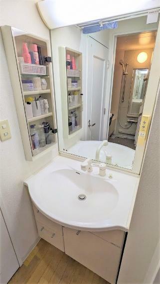 洗面化粧台 大きなボウルのシャワー付き洗面化粧台。ちょっとした洗濯もできて便利です。