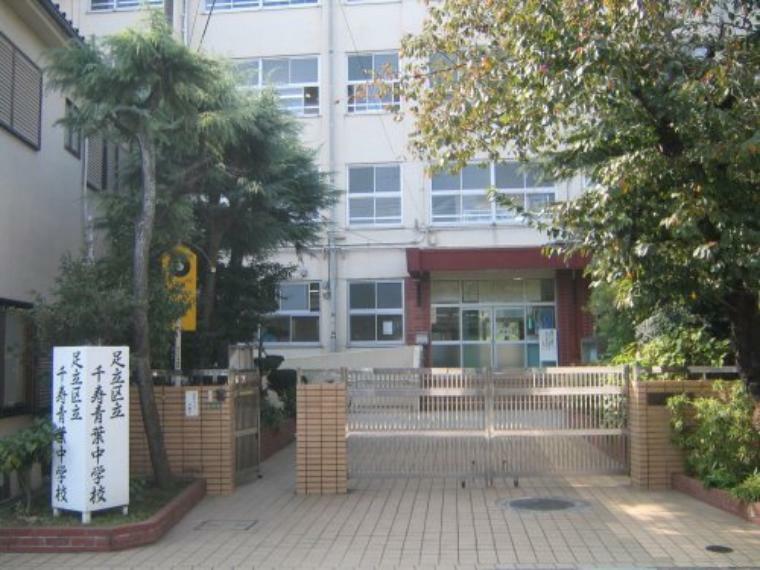 中学校 【中学校】足立区立千寿青葉中学校まで480m