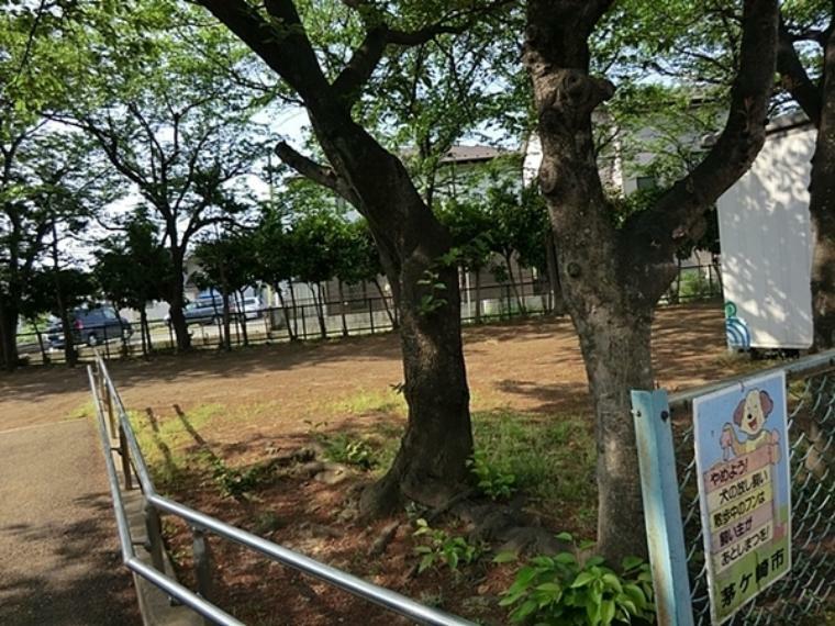 公園 浜之郷第五公園 三角形の敷地に、たくさんの桜の木が植樹された公園です。遊具はブランコとすべり台があります。
