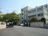 中学校 【中学校】越谷市立富士中学校まで342m