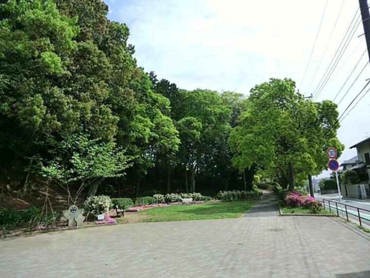 公園 洋光台北公園 緑の多い園内は小さな雑木林を思わせる小高い丘もあり散策に良いです。遊具と広場があり近隣の子供たちに人気の公園です。