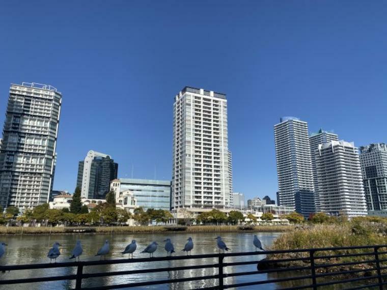 帷子川対岸から見る横浜ポートサイドプレイス