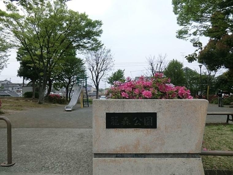 公園 籠森公園 横浜市営地下鉄ブルーライン上永谷駅徒歩7分。中央に滑り台やブランコの遊具広場があります。