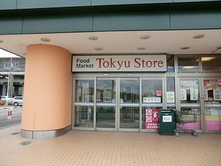 スーパー 東急ストア田奈店 生鮮食品、お肉や魚、日用雑貨などが扱われています