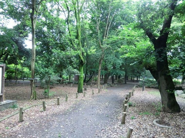 周辺環境 周辺環境:都立和田堀公園