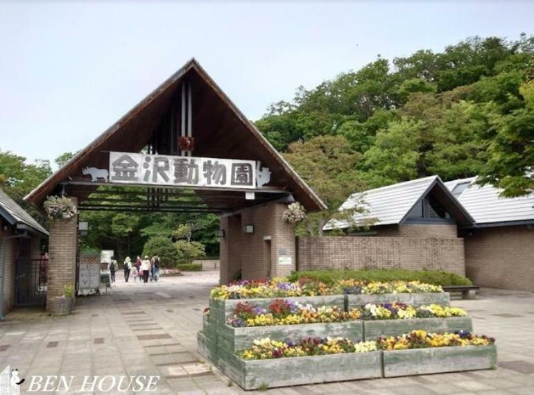 横浜市立金沢動物園 徒歩13分。子供から大人まで楽しめる広い自然公園の中には動物園があります。