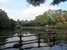 公園 菊名池公園（地域の住民の憩いの場。池、広場、プールなどがあり、夏の暑い日にはプールから元気な声が聞こえてきます。）