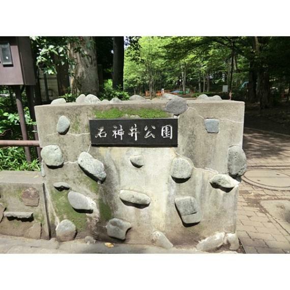 公園 石神井公園