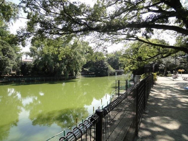 公園 武蔵関公園 【武蔵関公園】公園の約半分の面積を占める大きなひょうたん型の池があり、「葦の島」と「松の島」という2つの島があります。ボート場がありますので、休日には野鳥や公園のみどりを眺めてみてはいかがでしょうか。