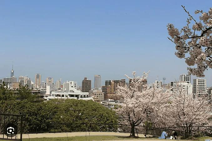 祖原公園<BR/>（春には桜も咲きます。）