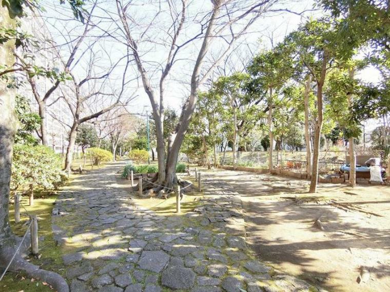 【敷地内遊歩道】緑の木々に包まれた生活を満喫できる憩いの散歩道が敷地内にあります。