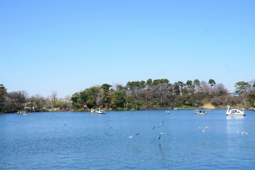 公園 歌川広重の名所江戸百景『千束の池袈裟懸松』にも描かれた水辺の景観の面影を今も残す「洗足池公園」。周辺住民の憩いの場になっており、池月橋、水生植物園のほか、勝海舟記念館も隣接しています。