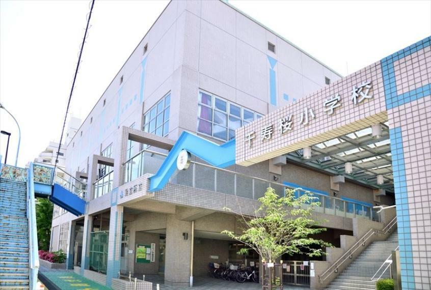 小学校 【小学校】足立区立千寿桜小学校まで446m