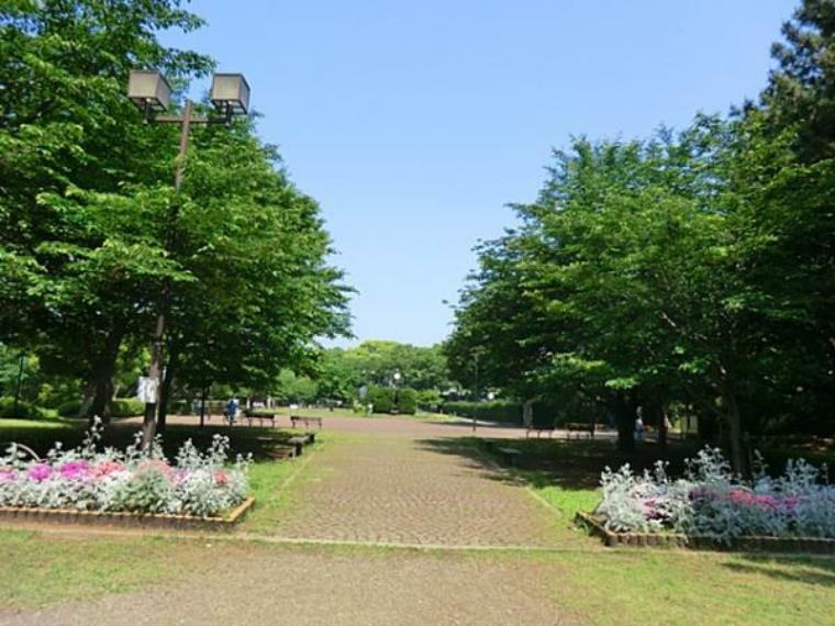 公園 夢見ケ崎公園