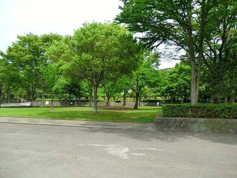 公園 新林公園 藤沢の中心街にほど近い所に残された緑の谷間に広がる公園で、山の尾根に沿う散策路には時折リスが顔をのぞかせます。