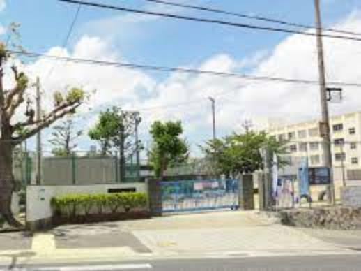 【小学校】神戸市立南五葉小学校まで737m（約737m）