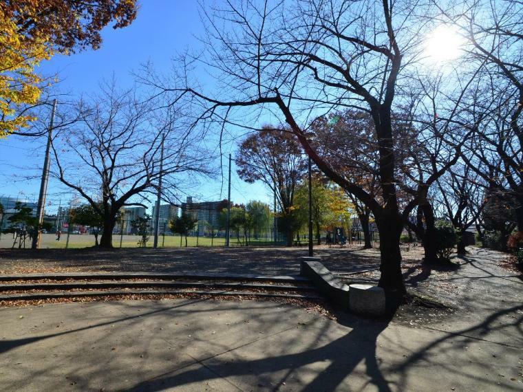 公園 佐江戸公園（鶴見川近くの広い多目的広場のある公園です。春には桜がきれいに咲き、お花見も楽しめます。）
