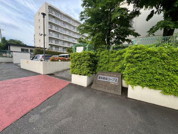 外観写真 藤和綱島コープIIは、1980年9月築のマンションです。東急東横線綱島駅より徒歩12分の距離で、多彩なショッピング施設も揃い、暮らしのステージにはぴったりです。