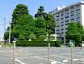 病院 東京慈恵会医科大学附属第三病院　距離約1400m