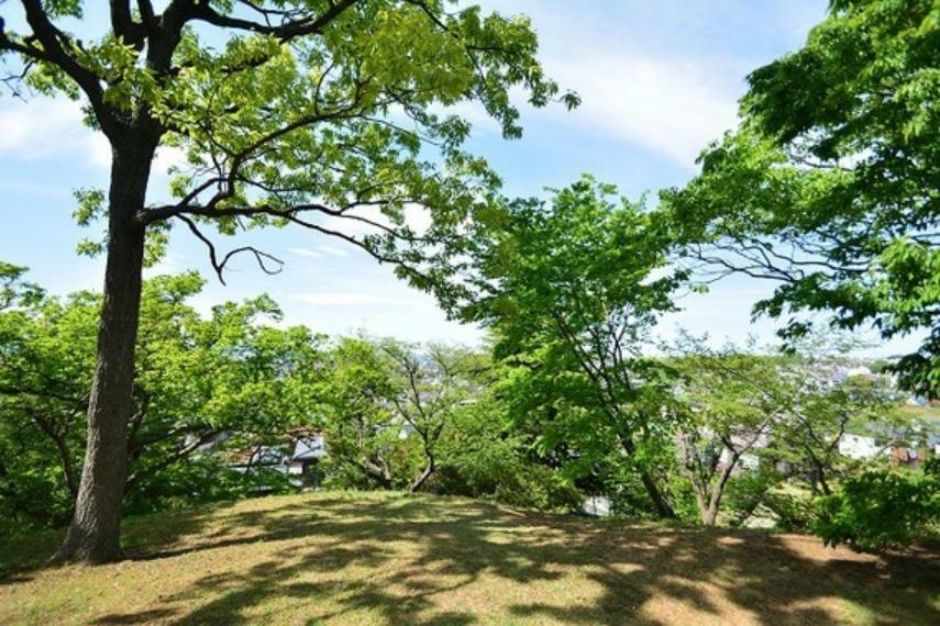 公園 瓢箪塚（ひょうたん山・国造塚）古墳　距離約350m