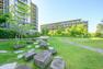 現況写真 Brillia City横浜磯子の敷地内にある自然豊かな環境。緑が多く癒されます。