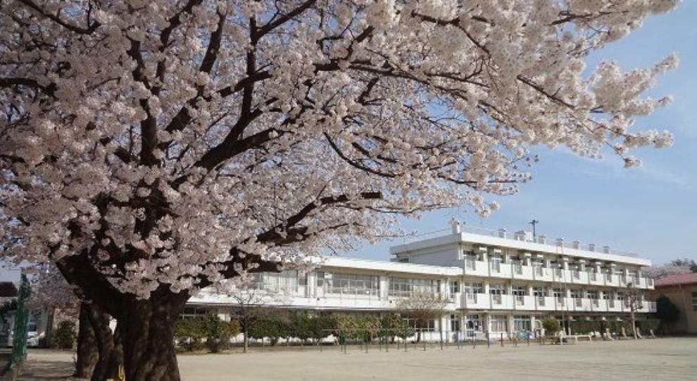 小学校 さいたま市立太田小学校