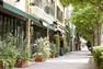 美しいイチョウ並木が有名で、オシャレなカフェやショップが立ち並ぶ『プラチナ通り』