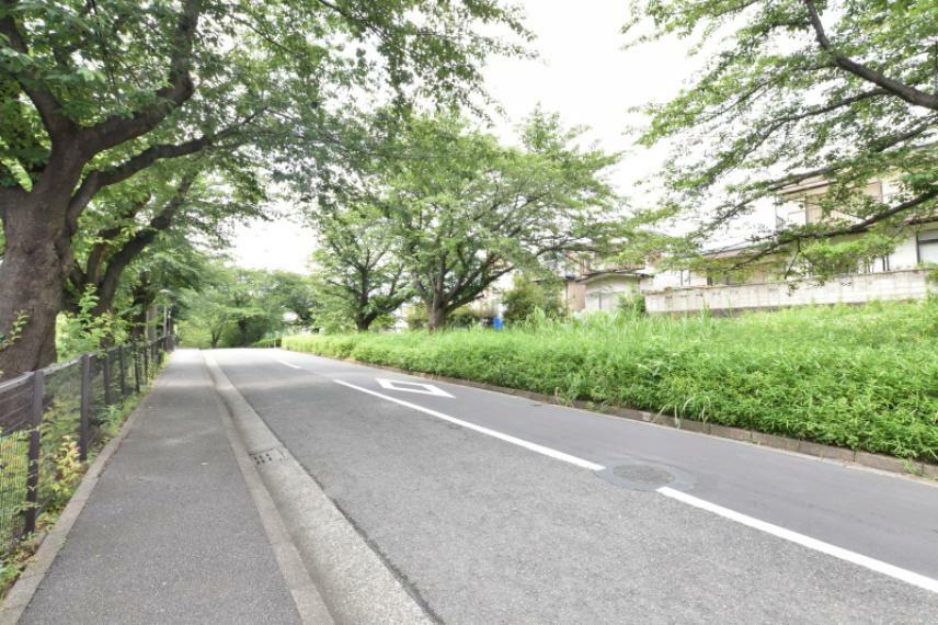 外観・現況 今宿東公園に繋がる遊歩道・桜並木がございます